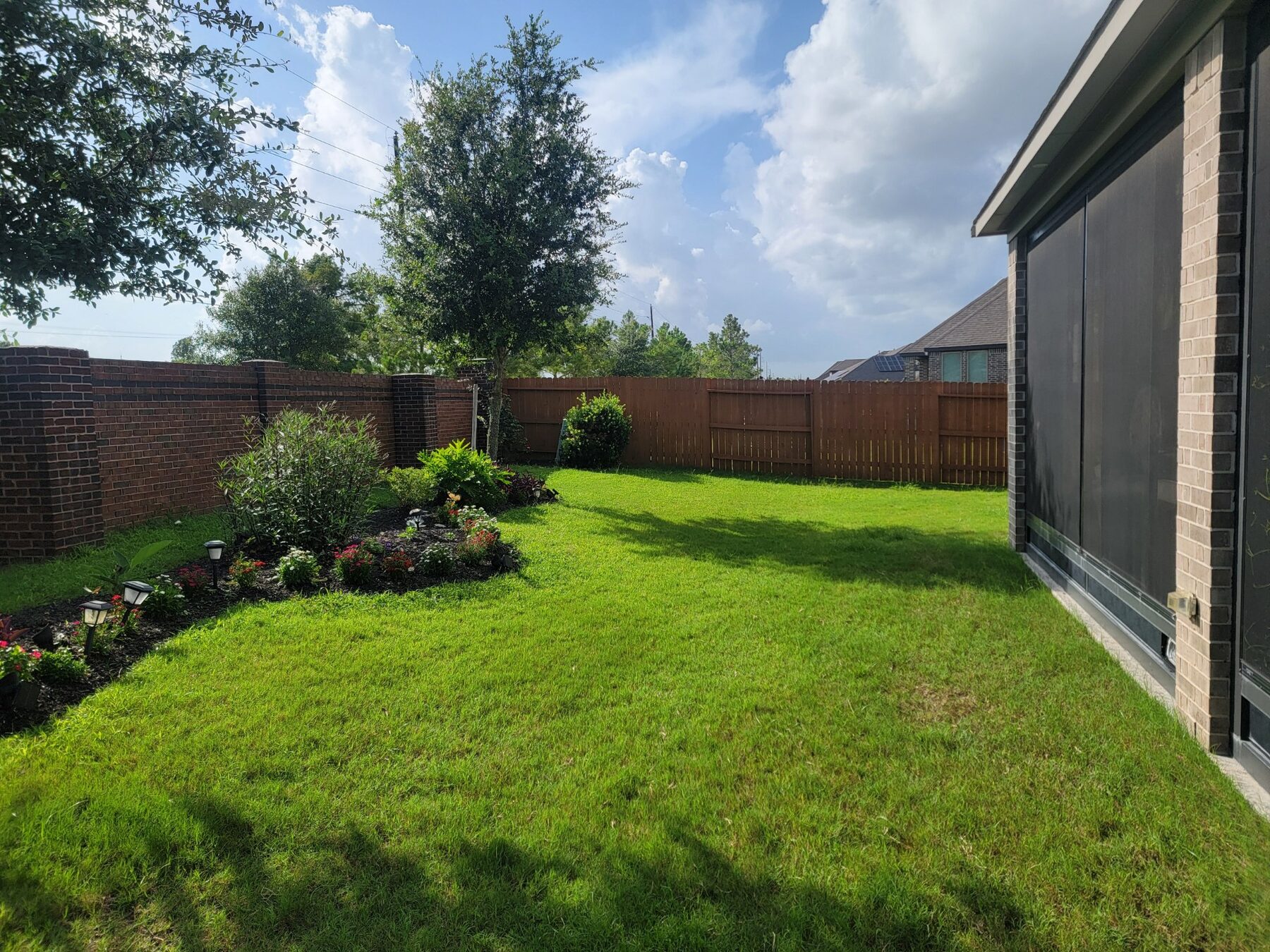 Lush green Houston backyard with fresh landscaping and shrubs